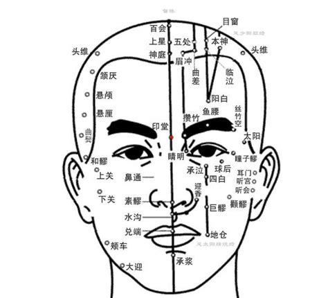 印堂 位置|中醫經絡知識 印堂穴